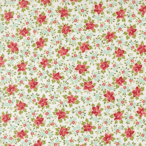 [55353 11] Bloomsberry White