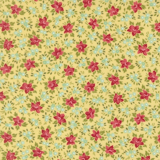 [55353 12] Bloomsberry Buttermilk