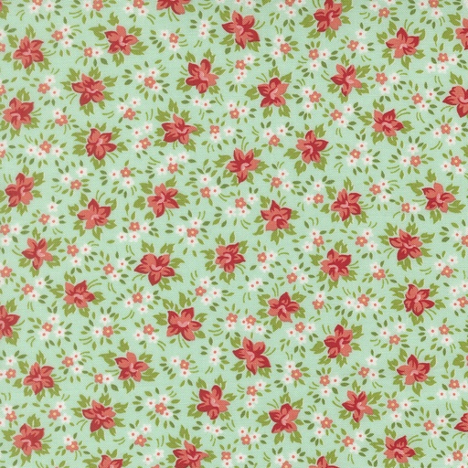 [55353 13] Bloomsberry Aqua