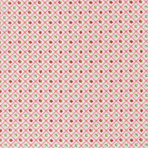 [55358 11] Bloomsberry Blush