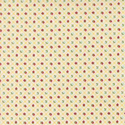[55358 22] Bloomsberry Buttermilk