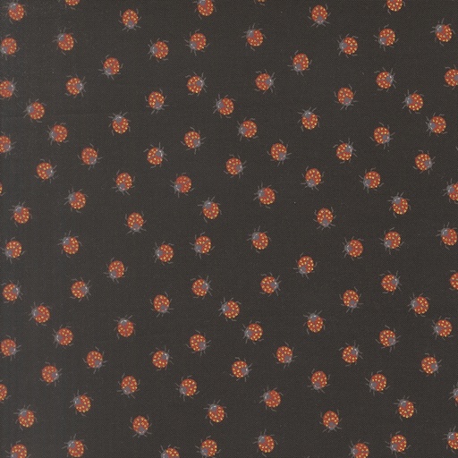 [48446 18M] Ladybug Whimsy Metal Midnight