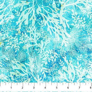 [DP25421-42] Vitamin Sea Light Blue Multi