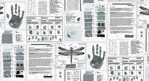 [A-768-C] Sleuth Gumshoe Cold Case