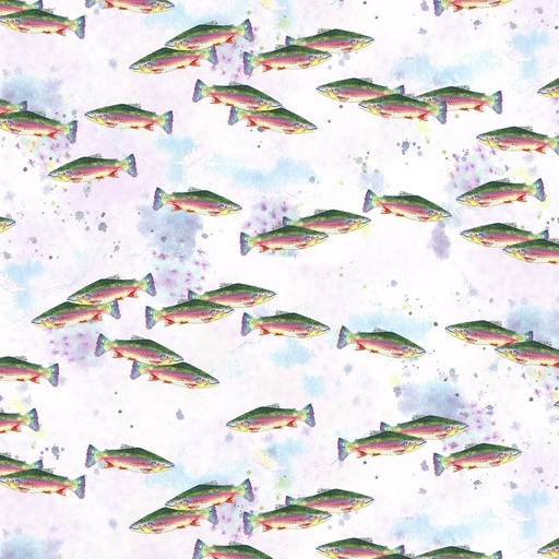 [TM102-RA2D] Wild and Wonderful Rainbow