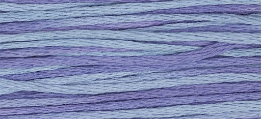 [2342] Weeks Dye Works Dutch Iris