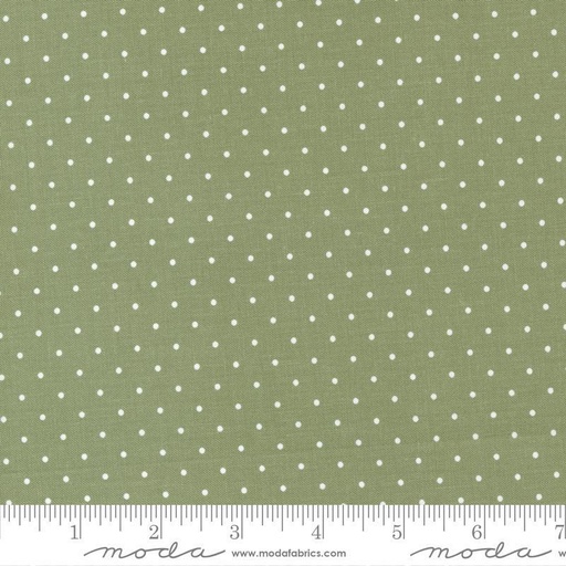 [5195 17] Lovestruck Dots Fern